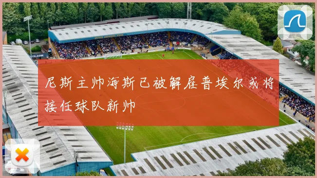 尼斯主帅海斯已被解雇普埃尔或将接任球队新帅