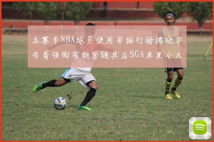 本赛季NBA球员使用率排行榜揭晓字母哥领衔布朗紧随其后SGA库里小火车紧追不舍