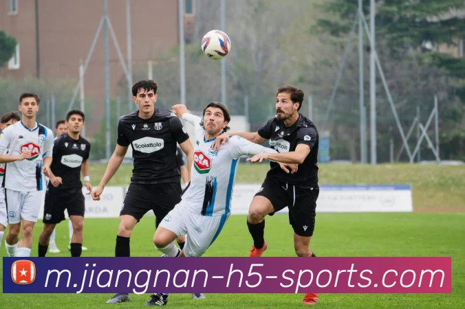 江南体育平台生态图